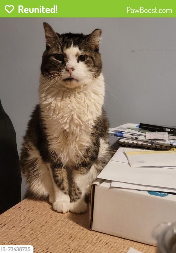 Reunited Male Cat last seen Near tremont street, Philadelphia, PA 19136