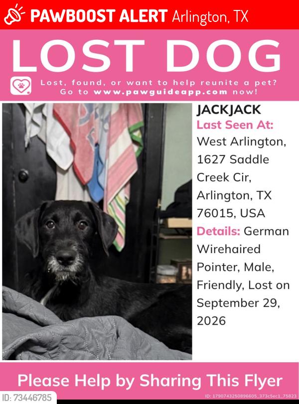 Lost Male Dog last seen Park haven west Arlington apts, Arlington, TX 76015