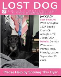 Lost Male Dog last seen Park haven west Arlington apts, Arlington, TX 76015