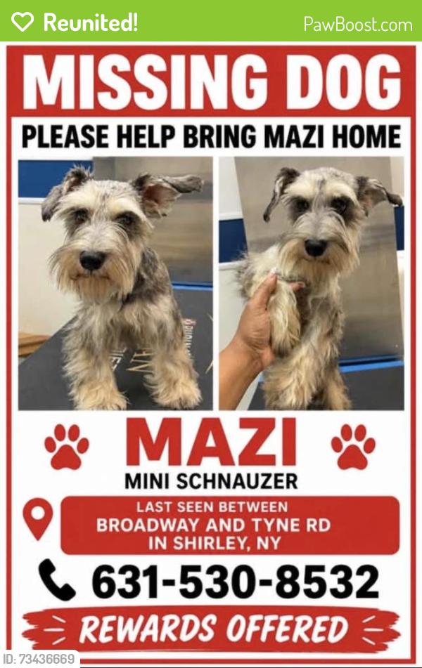 Reunited Male Dog last seen Tyne Road, Shirley, NY 11967