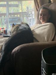 Reunited Female Dog last seen Downtown by Hooks Lost Treasure, East Liverpool, OH 43920