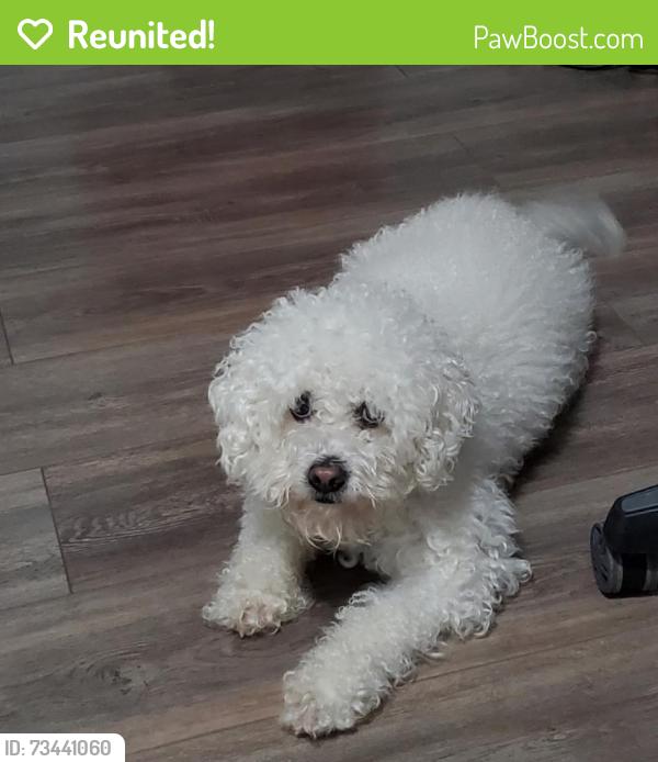 Reunited Male Dog last seen Roseland Dr, Baytown, TX 77520