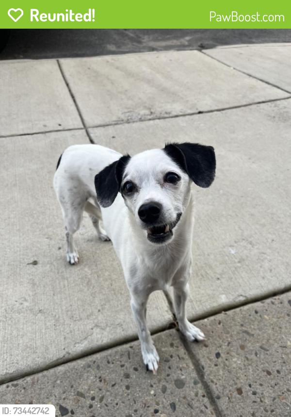 Reunited Unknown Dog last seen Near Edgemont St, Philadelphia, PA 19134, USA, Philadelphia, PA 19134