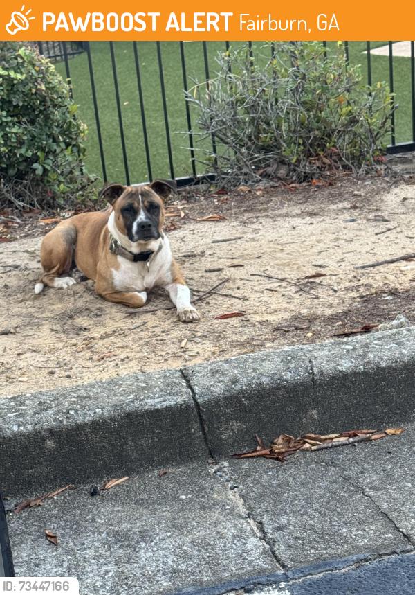 Found/Stray Unknown Dog last seen Near Oakley industrial blvd, Fairburn, GA 30213