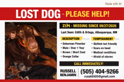 Lost Male Dog last seen Edith, Ortega, Albuquerque, NM 87113