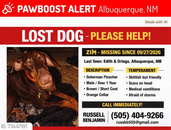 Lost Male Dog last seen Edith, Ortega, Albuquerque, NM 87113