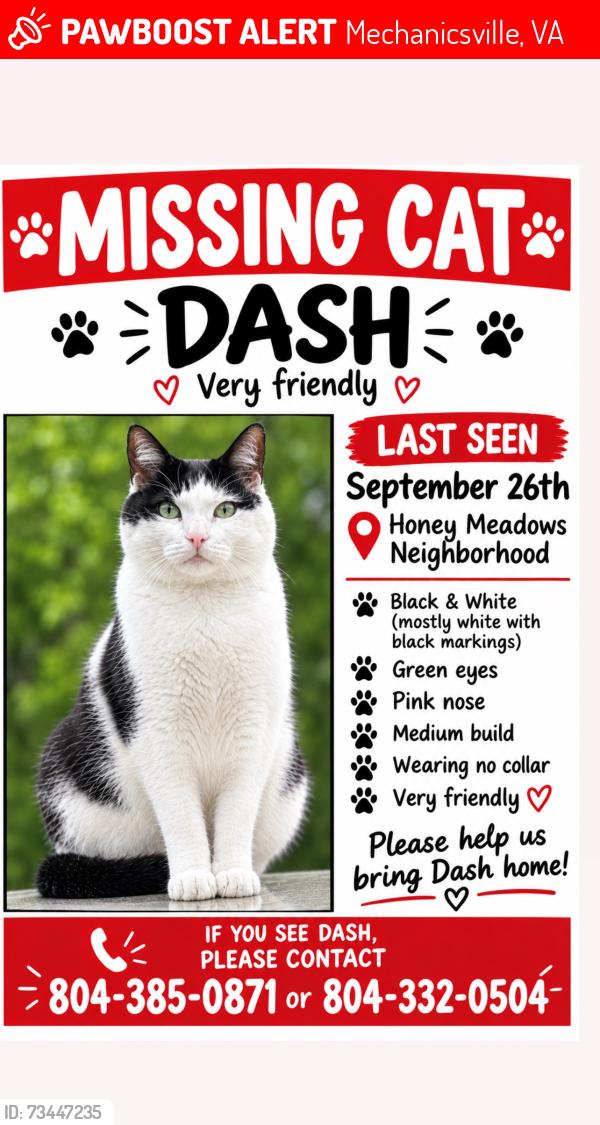 Lost Male Cat last seen Meadow Pond Dr Atlee High School Area, Mechanicsville, VA 23116