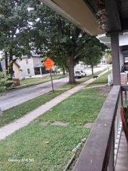 Found/Stray Female Dog last seen East Washington, Indianapolis, IN 46201
