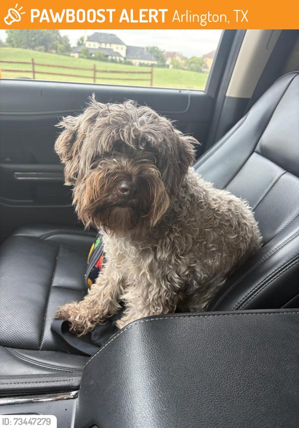Found/Stray Male Dog last seen Turnel Warnell Rd, Arlington, TX 76001