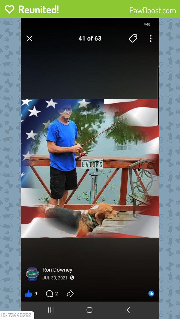 Reunited Female Dog last seen Holland Road and Dana Lee, Virginia Beach, VA 23452