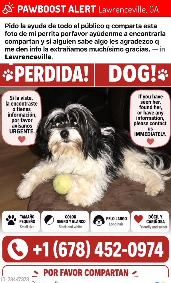 Lost Female Dog last seen Lawerenceville ga, Lawrenceville, GA 30045