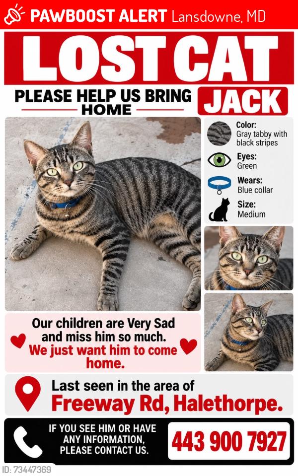 Lost Male Cat last seen Por el pantano, Lansdowne, MD 21227