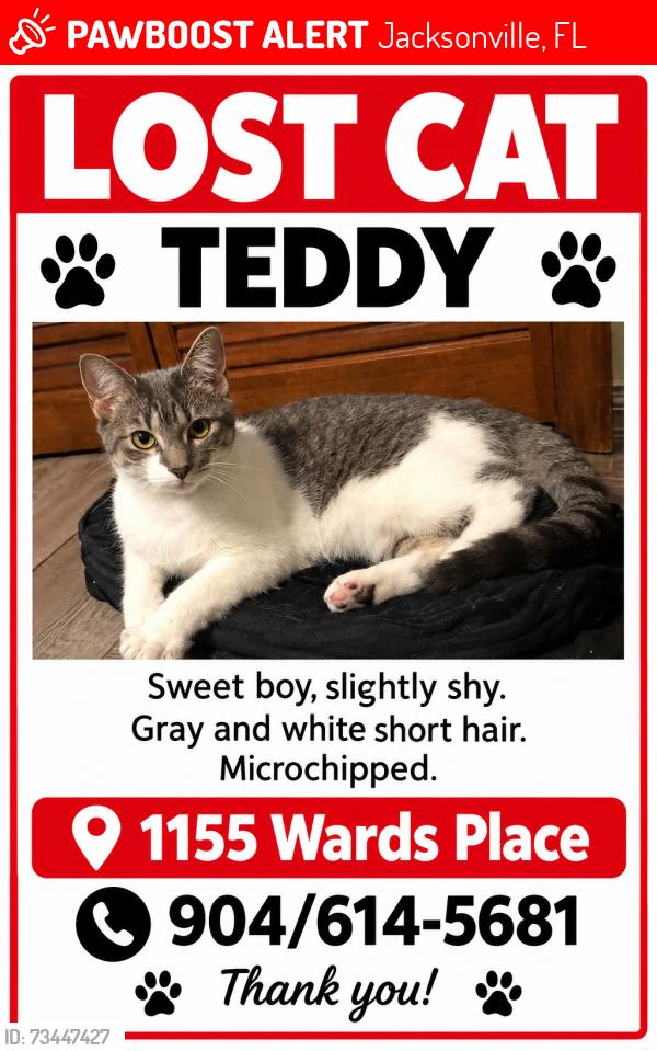 Lost Male Cat last seen Wards Place, Jacksonville, FL 32259