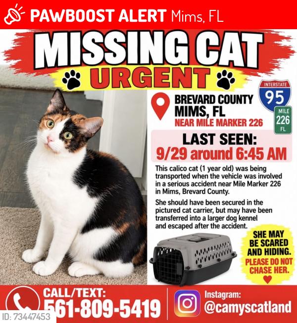 Lost Female Cat last seen Mile mark 226 SB lane, Mims, FL 32754