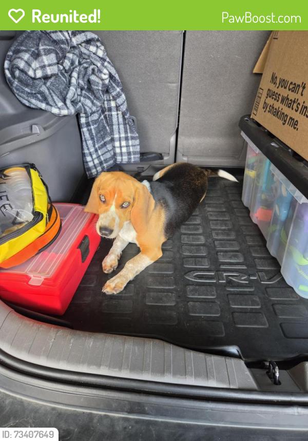 Reunited Male Dog last seen Carmack court, Mercersburg, Pa, Mercersburg, PA 17236