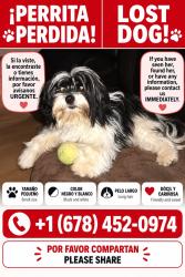 Lost Female Dog last seen Herrington rd Lawrenceville ga, Gwinnett County, GA 30044