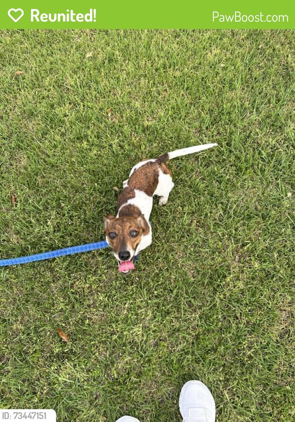Reunited Female Dog last seen Avenue H and 11th St, South Houston, TX 77587