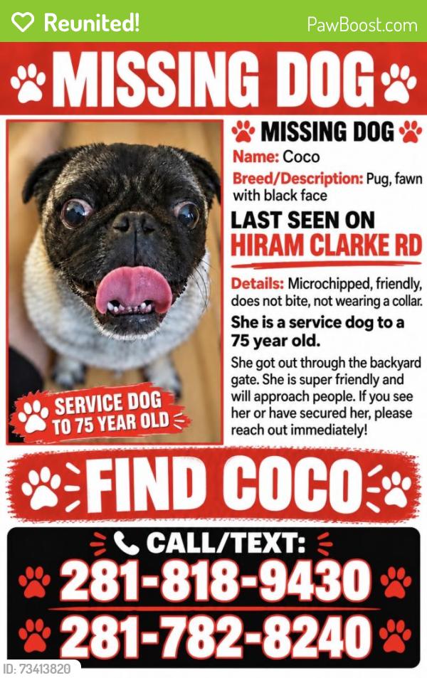 Reunited Female Dog last seen W Fuqua and Hiram Clarke, Houston, TX 77045