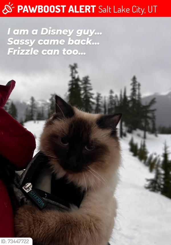 Lost Female Cat last seen On the Salt flts, Utah, 40.79891, -113.81370, Salt Lake City, UT 84114