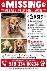 Reunited Female Dog last seen Not sure, Charlotte, NC 28215