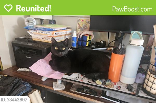 Reunited Male Cat last seen Fennell Ct, San Diego, CA 92114