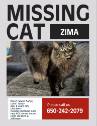 Lost Female Cat last seen PCC Tennis Courts, Redwood City, CA 93239
