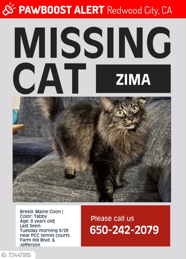 Lost Female Cat last seen PCC Tennis Courts, Redwood City, CA 93239