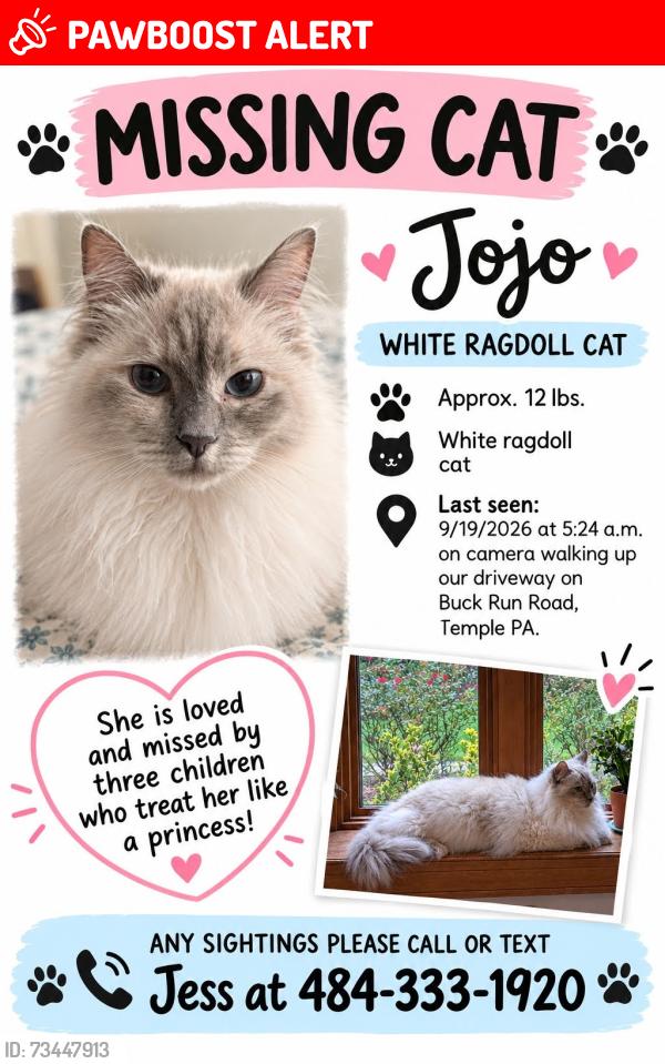 Lost Female Cat last seen Buck Run and Hill View, Alsace Township, PA 19606