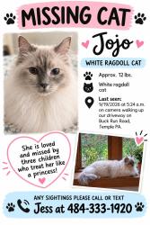 Lost Female Cat last seen Buck Run and Hill View, Alsace Township, PA 19606
