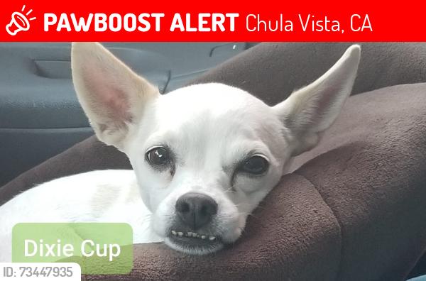 Lost Female Dog last seen East Palomar, Chula Vista, CA 91913