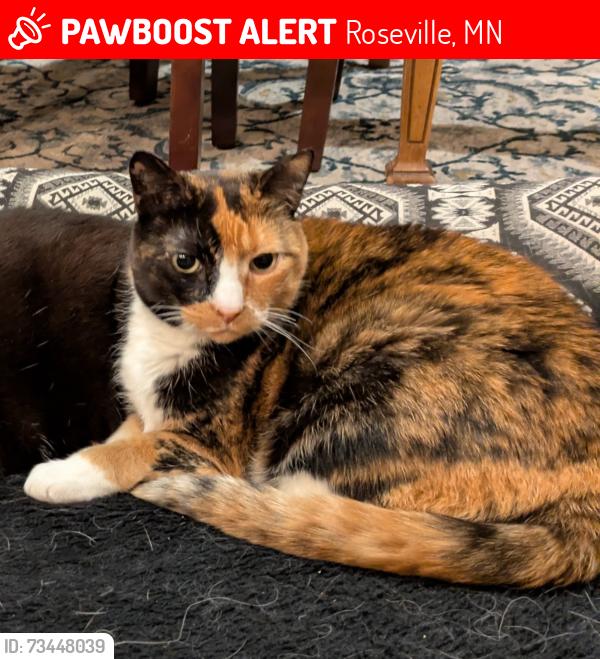 Lost Female Cat last seen Near Cohansey St, Roseville, MN 55113