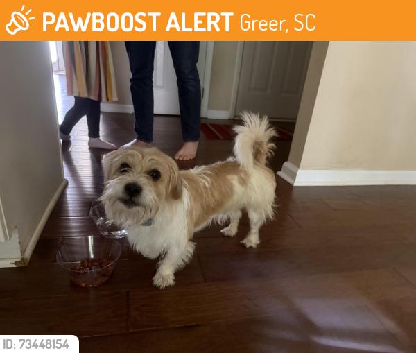 Found/Stray Male Dog last seen East Riverside Park, Greer, SC 29650