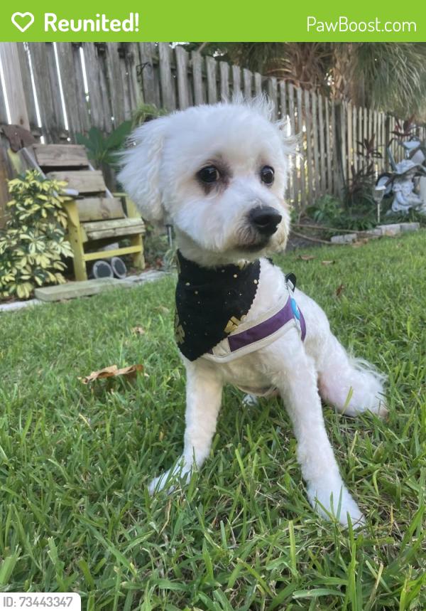 Reunited Male Dog last seen 54th st w and Cortez, Bradenton, FL 34209