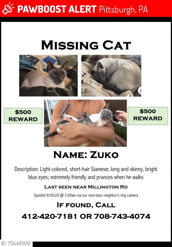 Lost Male Cat last seen On fence, Pittsburgh, PA 15217