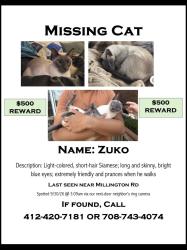 Lost Male Cat last seen On fence, Pittsburgh, PA 15217
