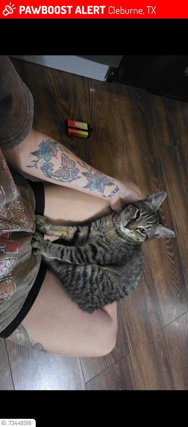 Lost Male Cat last seen Near River Bend Road, Cleburne, TX 76033