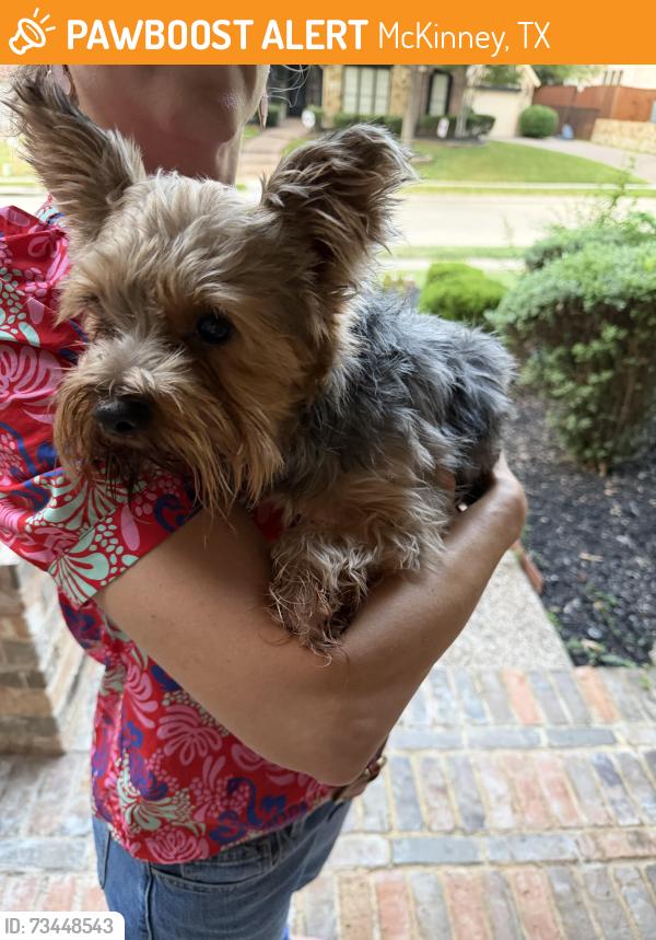 Found/Stray Male Dog last seen Glen Oaks Drive near Stonebridge Drive, McKinney, TX 75072