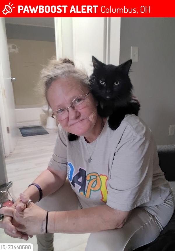 Lost Female Cat last seen Near Harrisburg pike, Columbus, OH 43223