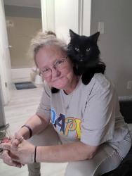Lost Female Cat last seen Near Harrisburg pike, Columbus, OH 43223