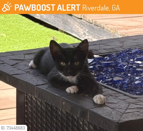 Found/Stray Male Cat last seen Pointe south elementary school, Riverdale, GA 30274
