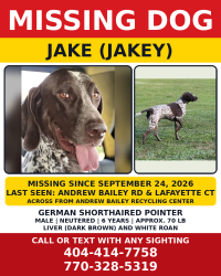 Lost Male Dog last seen Lafayette Court, Sharpsburg, GA 30277
