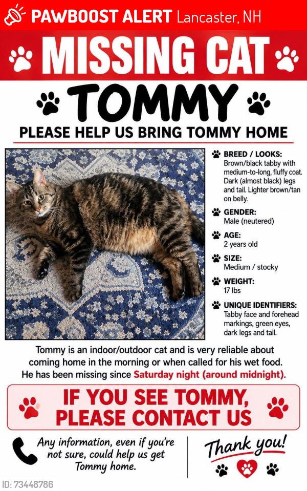 Lost Male Cat last seen Garland street, Lancaster, NH 03584