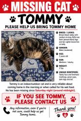 Lost Male Cat last seen Garland street, Lancaster, NH 03584