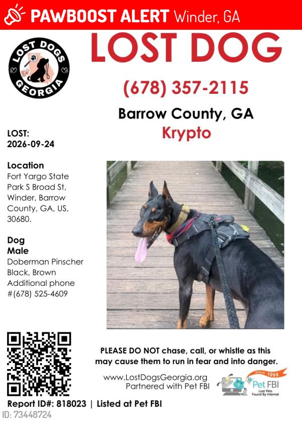 Lost Male Dog last seen Fort Yarg State Park b trail, Winder, GA 30680