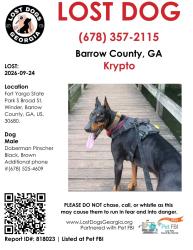 Lost Male Dog last seen Fort Yarg State Park b trail, Winder, GA 30680