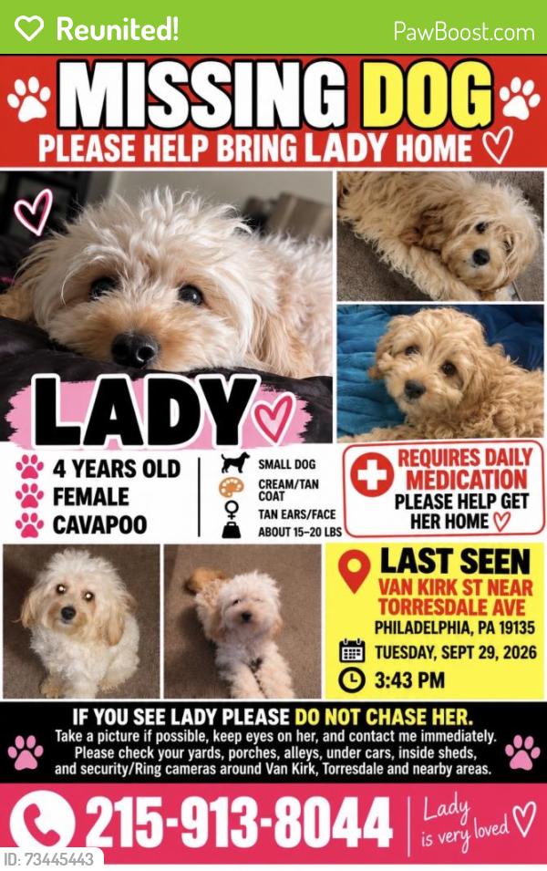 Reunited Female Dog last seen Near Van Kirk St, Philadelphia, PA 19135, USA, Philadelphia, PA 19135