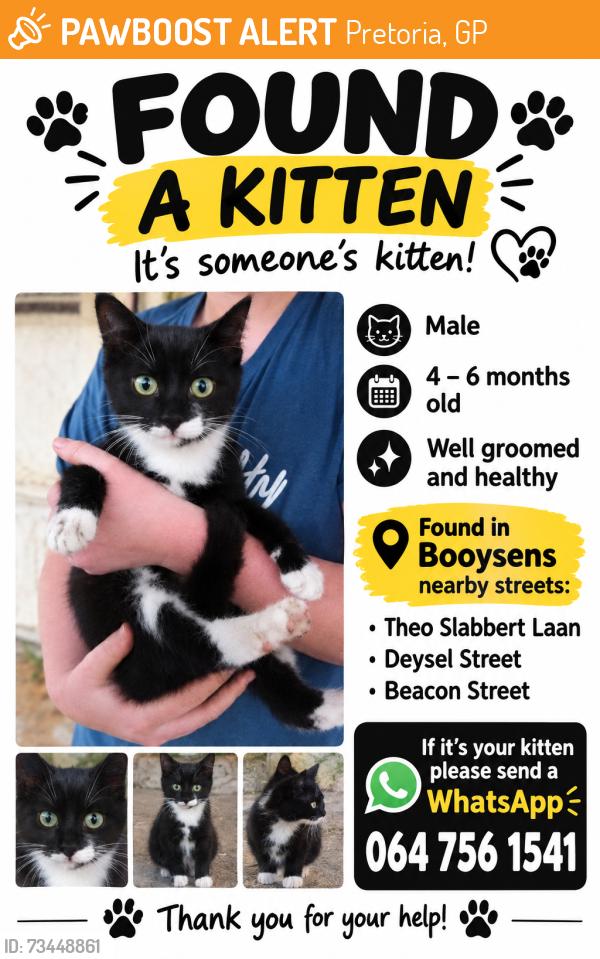 Found/Stray Male Cat last seen Beacon Street, Deysel Street, Pretoria, GP 