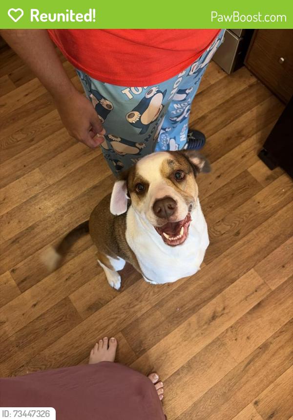 Reunited Male Dog last seen Graham Rd and Sunset Trl, College Station, TX 77845