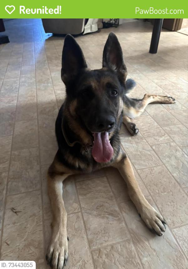 Reunited Male Dog last seen Archer Grove Road, Athens, GA 30607