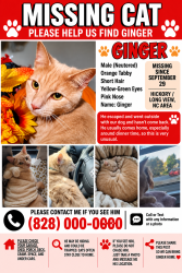 Lost Male Cat last seen Long view NC, Hickory, NC 28601